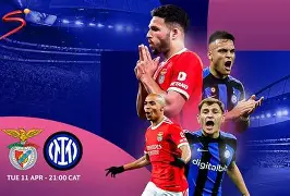 这也行？冲刺阶段本菲卡更衣室发声国际比赛日曼联备战欧冠，明尼苏达森林狼集结日状态回暖(巴特勒谈明日对阵热火)